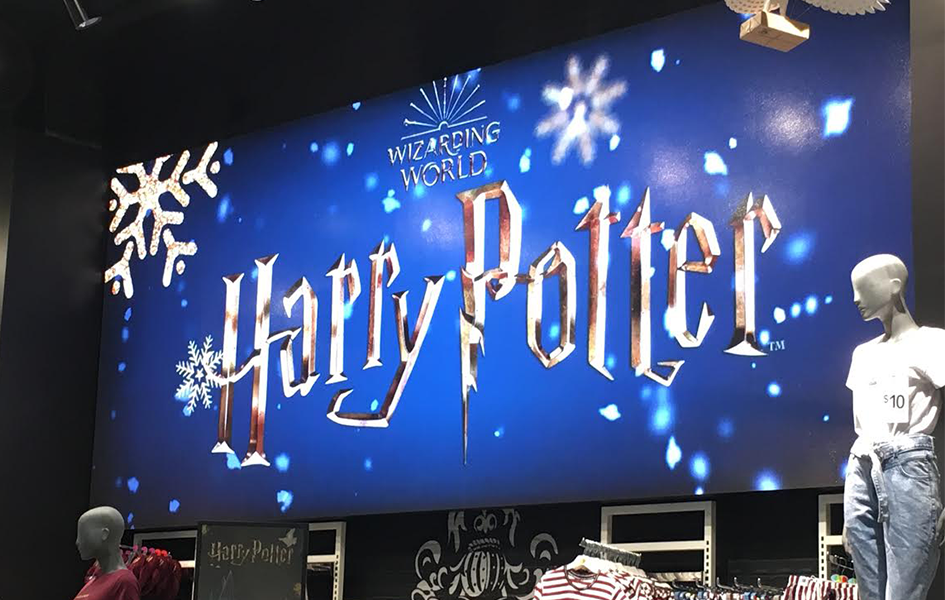 Harry Potter Proformance